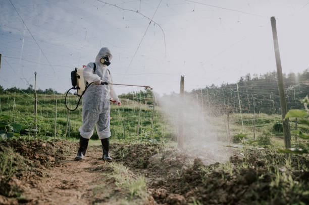 Best Commercial Pest Control Services  in Hollis, OK