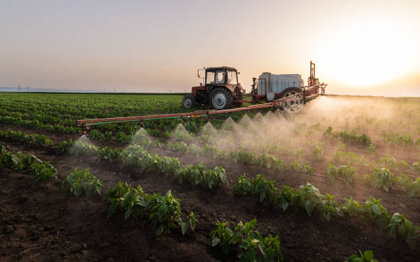 Best Commercial Pest Control Services  in Hollis, OK