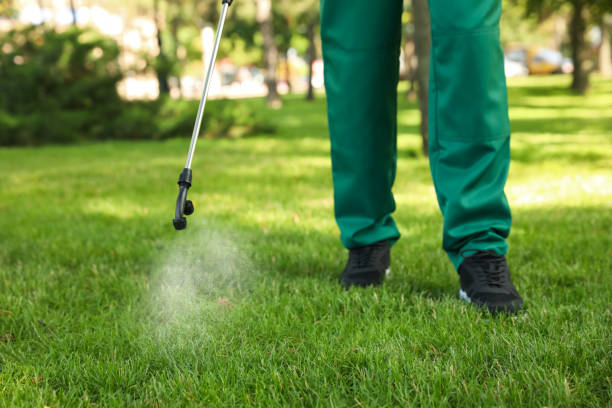 Best Best Pest Control Companies  in Hollis, OK