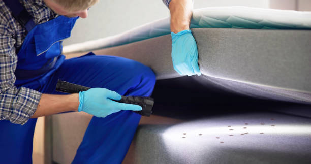 Best Cockroach Control Services  in Hollis, OK